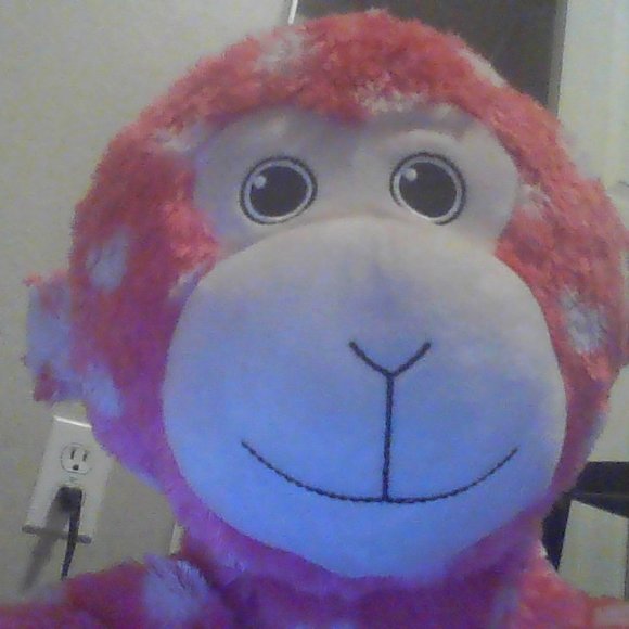 Valentines bear with white hearts. {Recommended for ages 2 & up.} - Picture 4 of 5